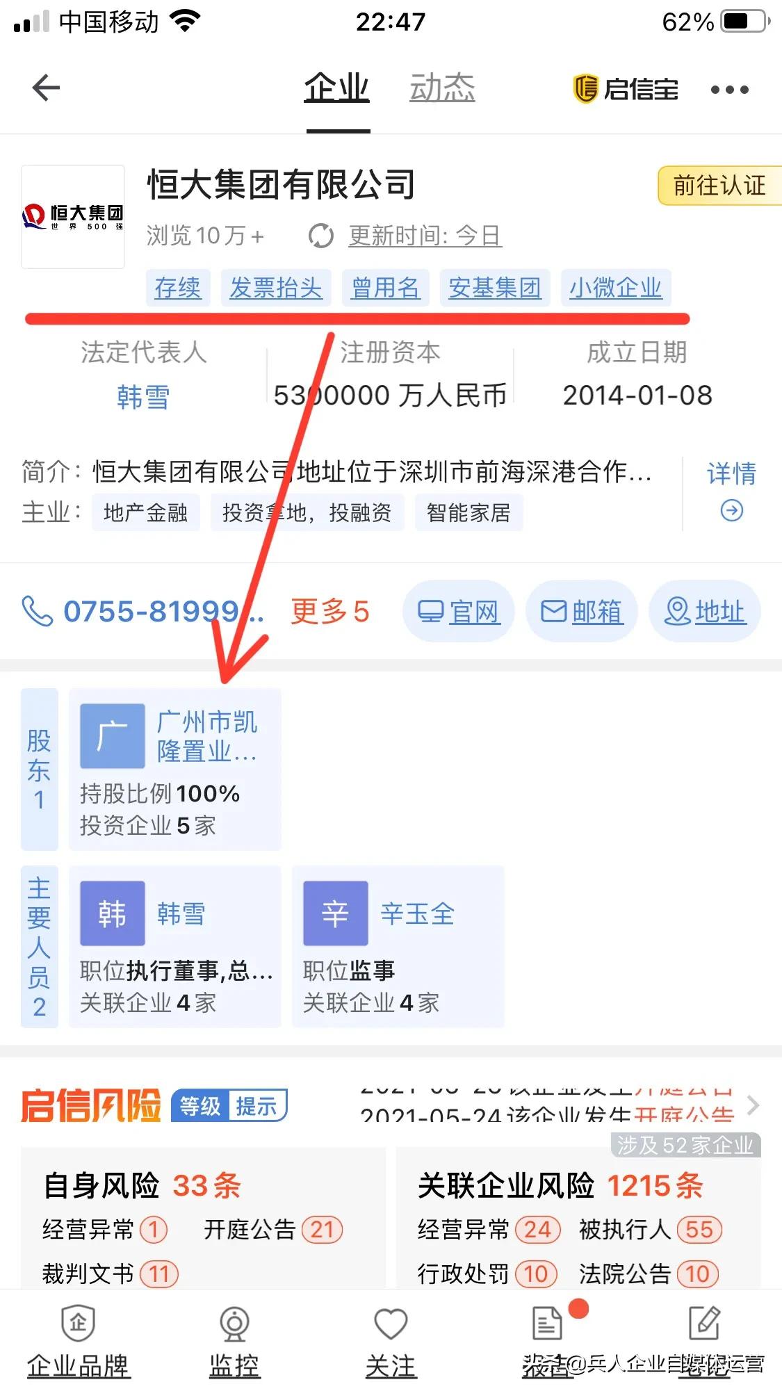 恒大股权结构示意图,恒大集团分析图