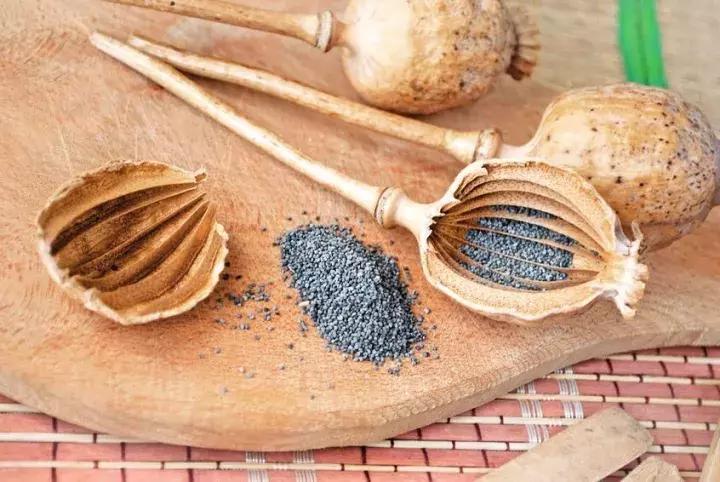 肉豆蔻和麸煨肉豆蔻区别,草果和草豆蔻烹调区别