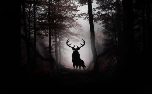 头像马图像,头像马身躯像猪