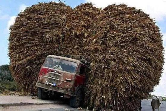 电动车碟刹和鼓刹的区别哪个好,圈刹碟刹制动力对比