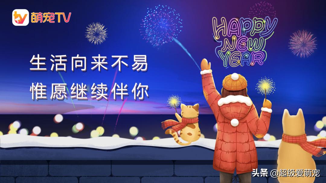 元旦快乐！今天一定要做给毛孩子吃的“元气蛋”教程来咯