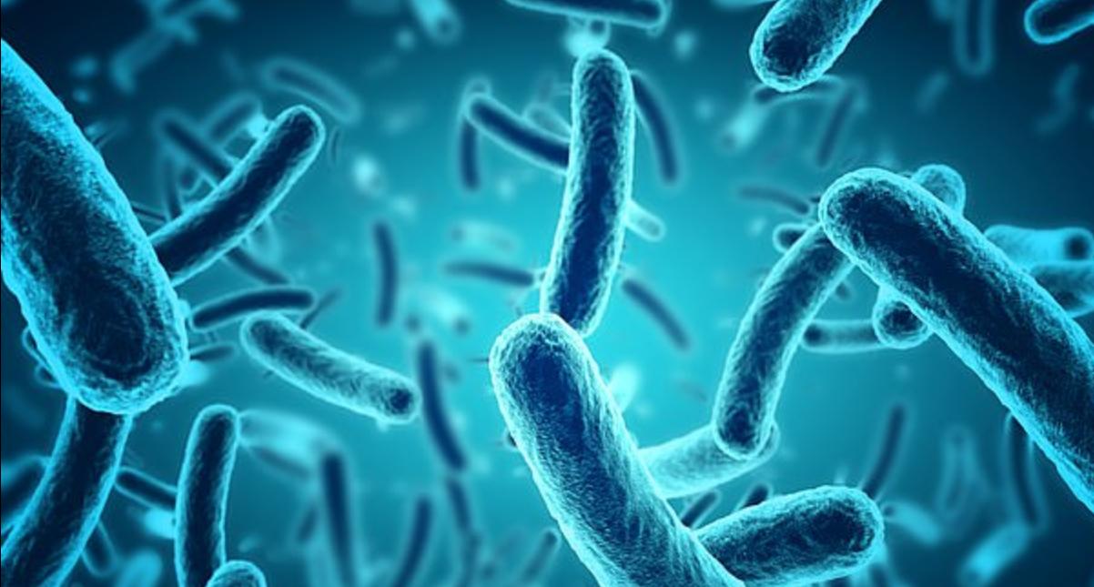 新研究：阴道内友好菌水平低的女性，或更易患卵巢癌