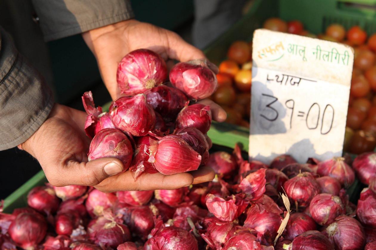 印度解除洋葱出口禁令,印度洋葱出口原因