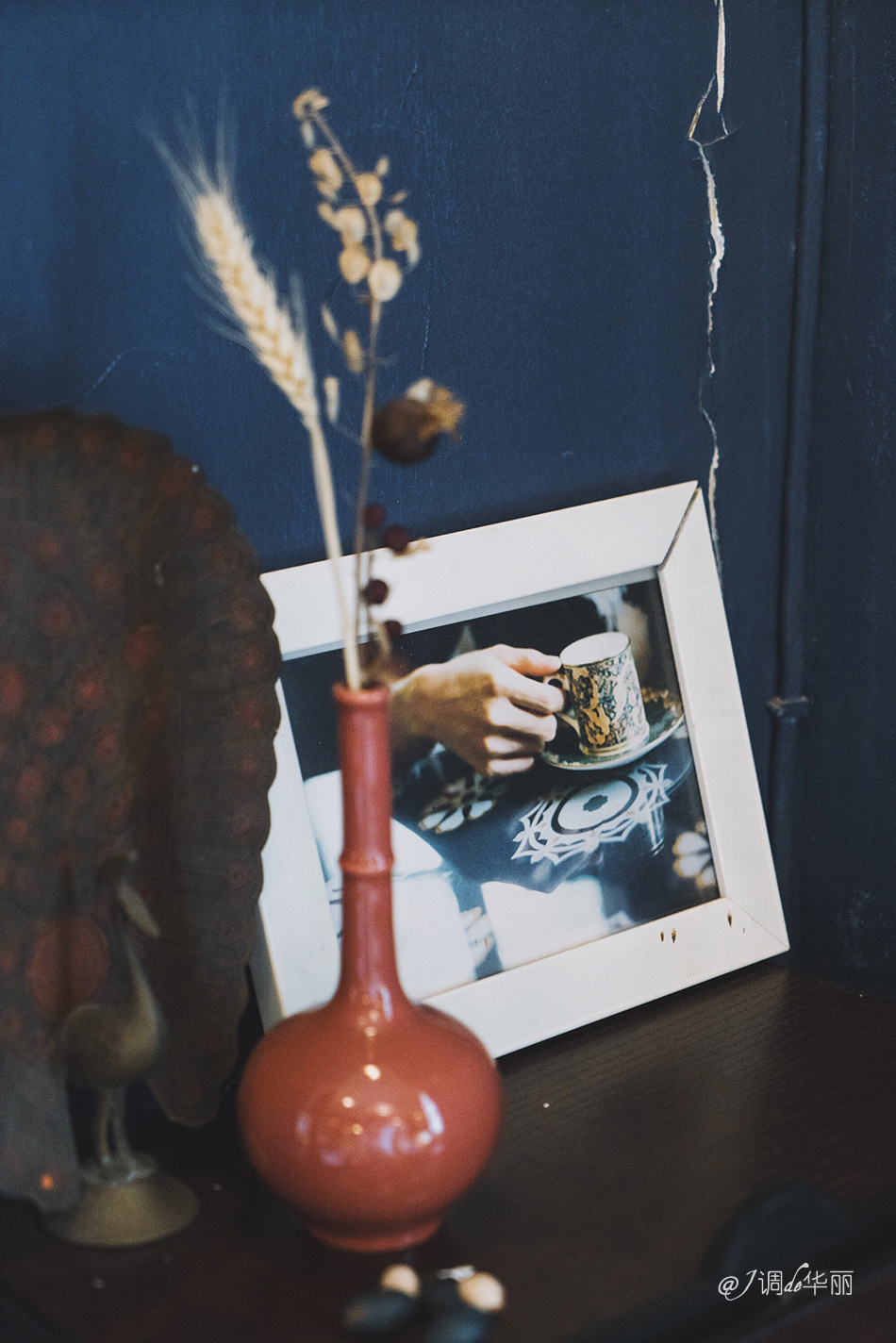 厦门没去过的地方,厦门没去过的景点