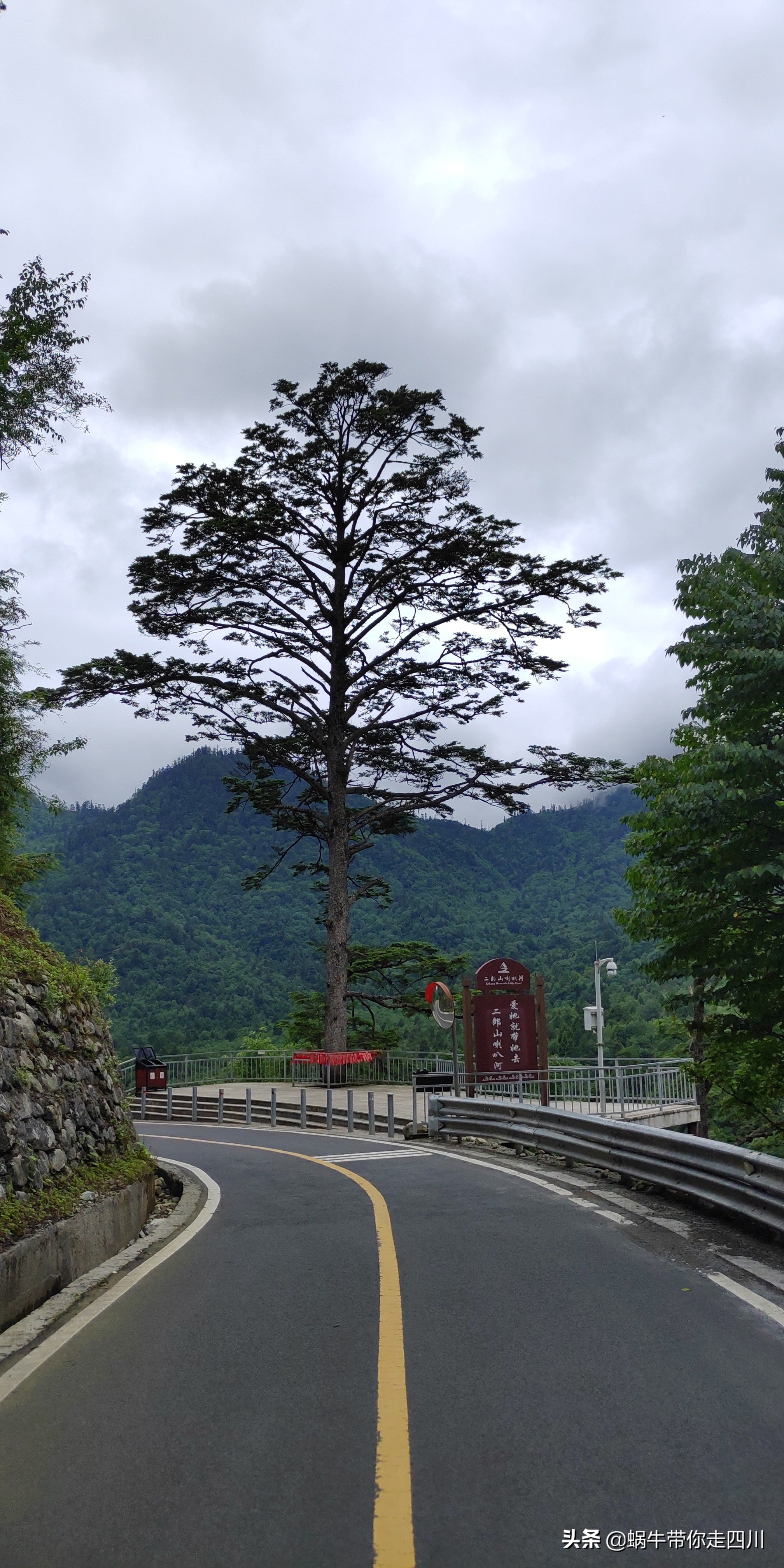 带小朋友出去看小动物,带小孩去海洋动物园