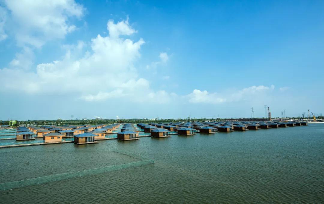 你是否见过鱼儿逆流而上?这里的“渔文化”妙趣横生