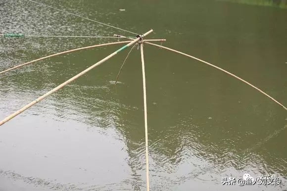 池塘拉网捕鱼完整版,池塘抬网捕鱼技巧