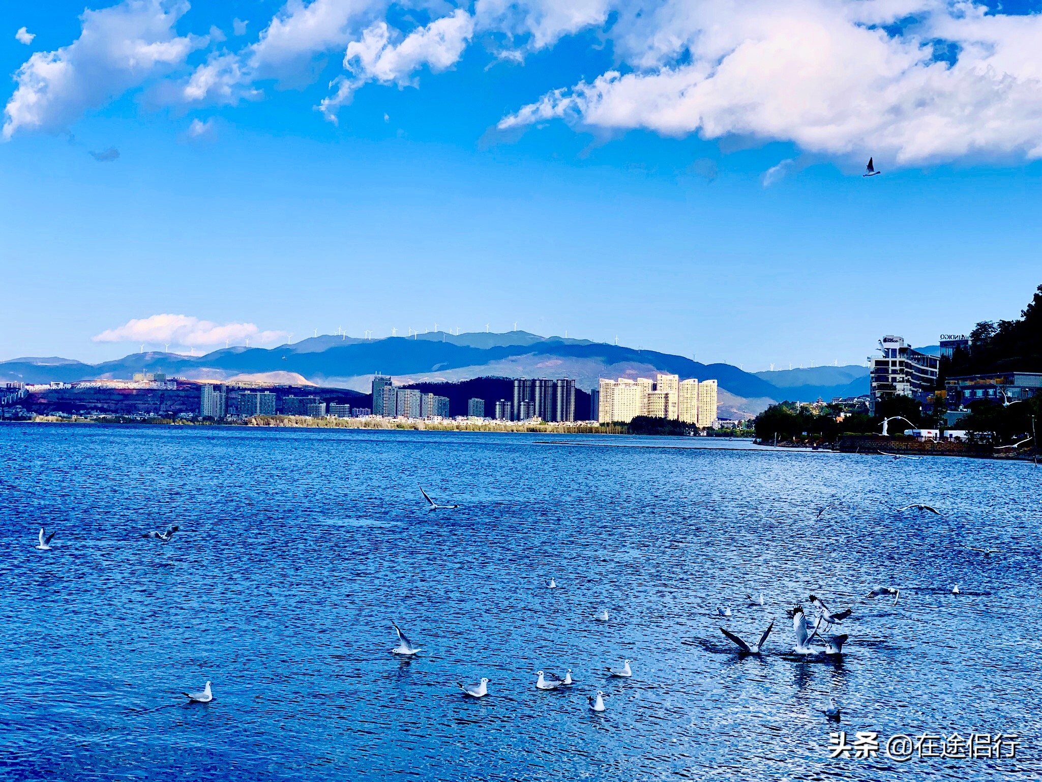 大理洱海恢复了吗,2019年洱海整治好了吗