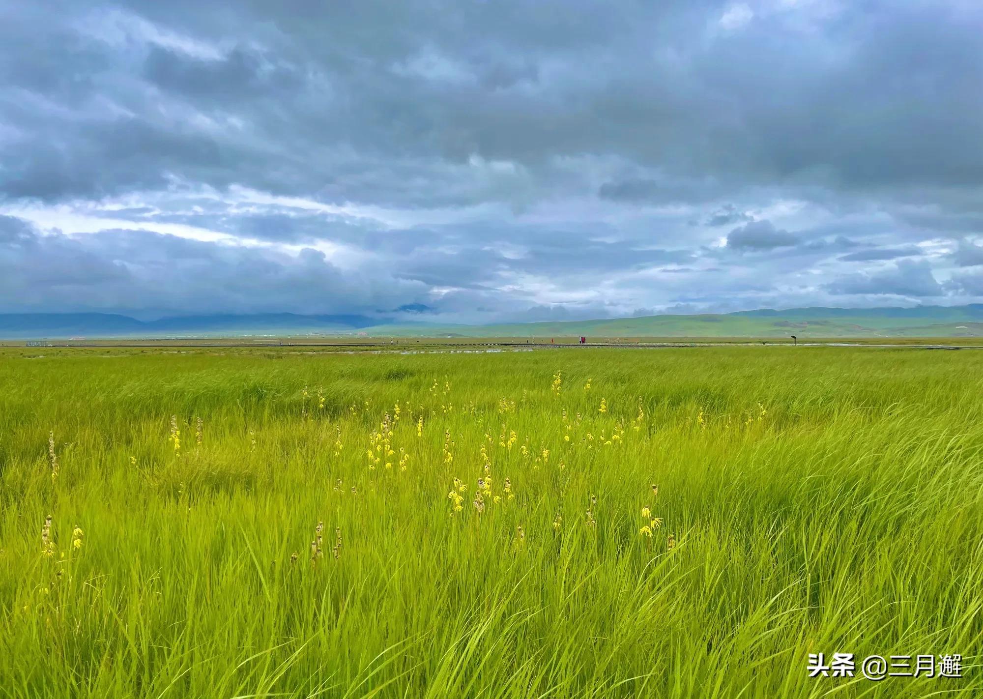 下雨天的若尔盖能去吗,阴雨天的若尔盖花湖