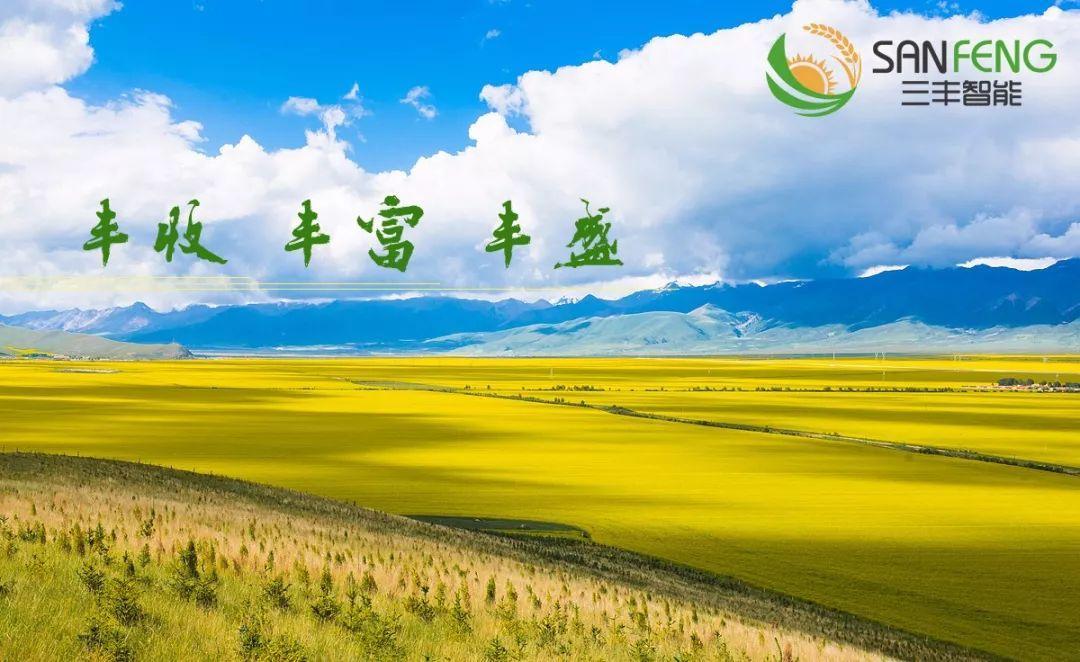 农业信息化是什么,农业信息化的发展路径