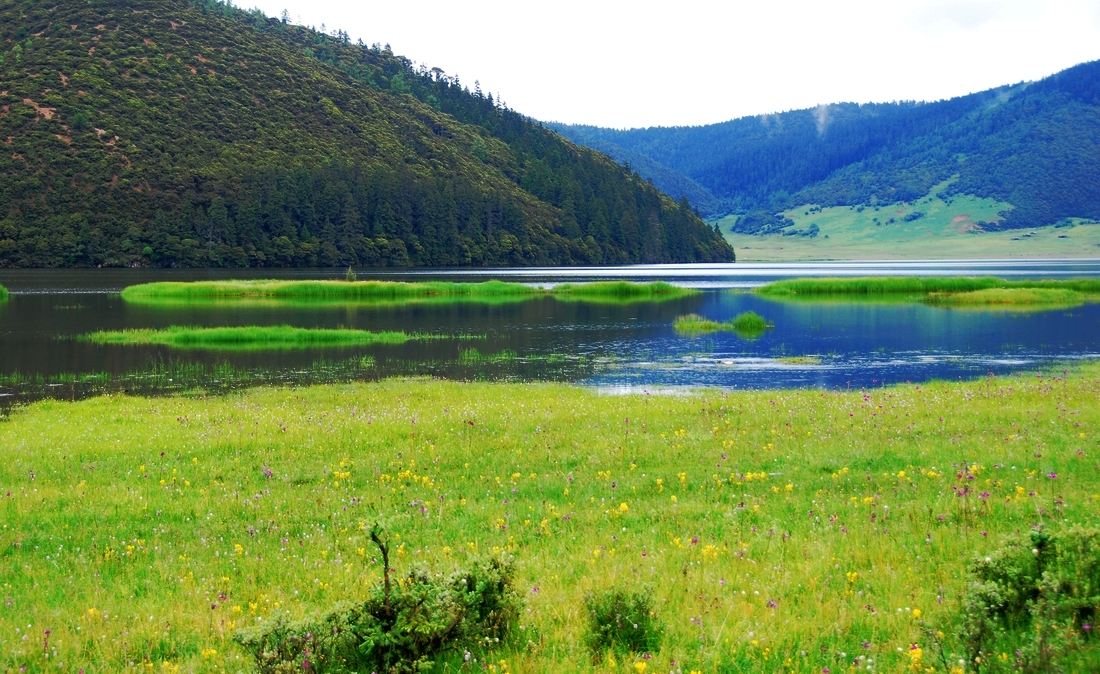 奥拉西奥基罗加,奥拉西奥基罗加父与子