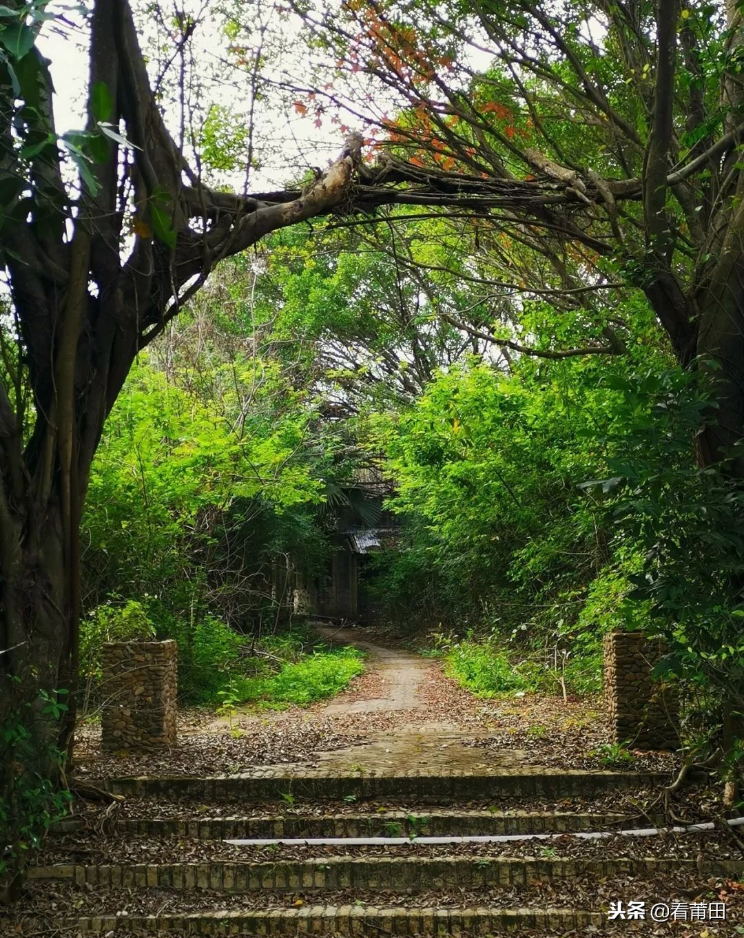 莆田快乐农庄以前的样子,莆田快乐农庄建什么