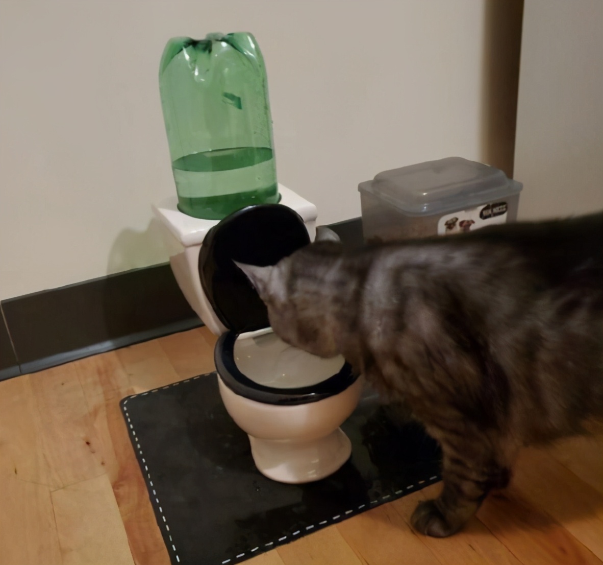 男言之隐怎么样,男言之隐介绍