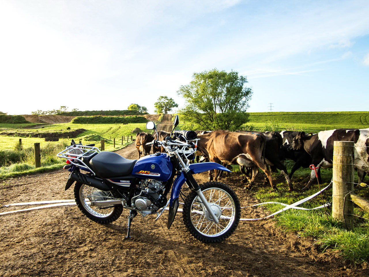 越野天剑125新款,天剑125越野跑西藏