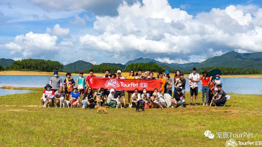 带着宠物去旅行的日常生活,想带着宠物一起旅游哪种好