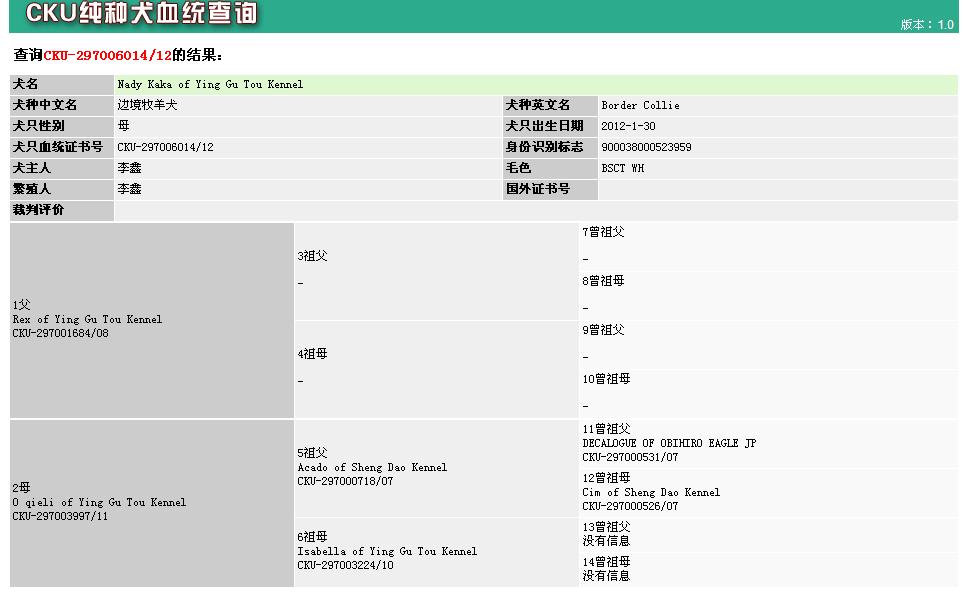 西安边境牧羊犬领养,领养边境牧羊犬幼崽