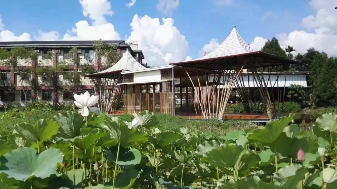 第100只猴子效应——台湾桃米生态村的“造人”计划