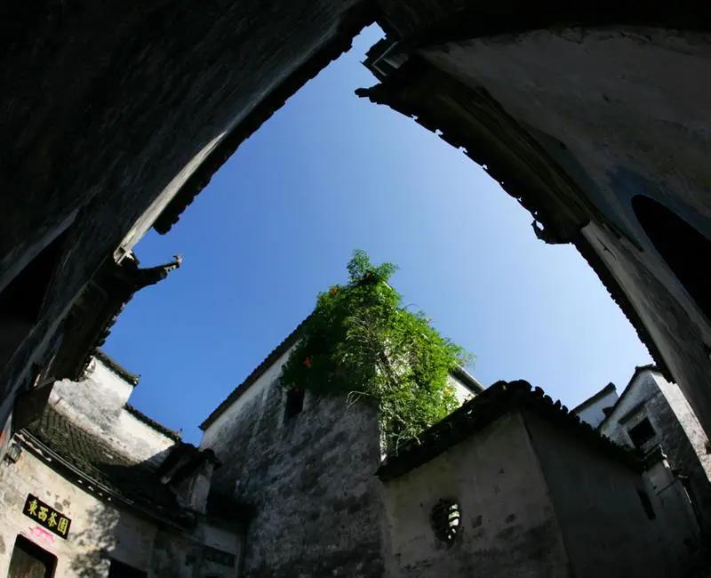 这个夏天一定要来一次浪漫的旅行,这个夏天一定要来一趟大连