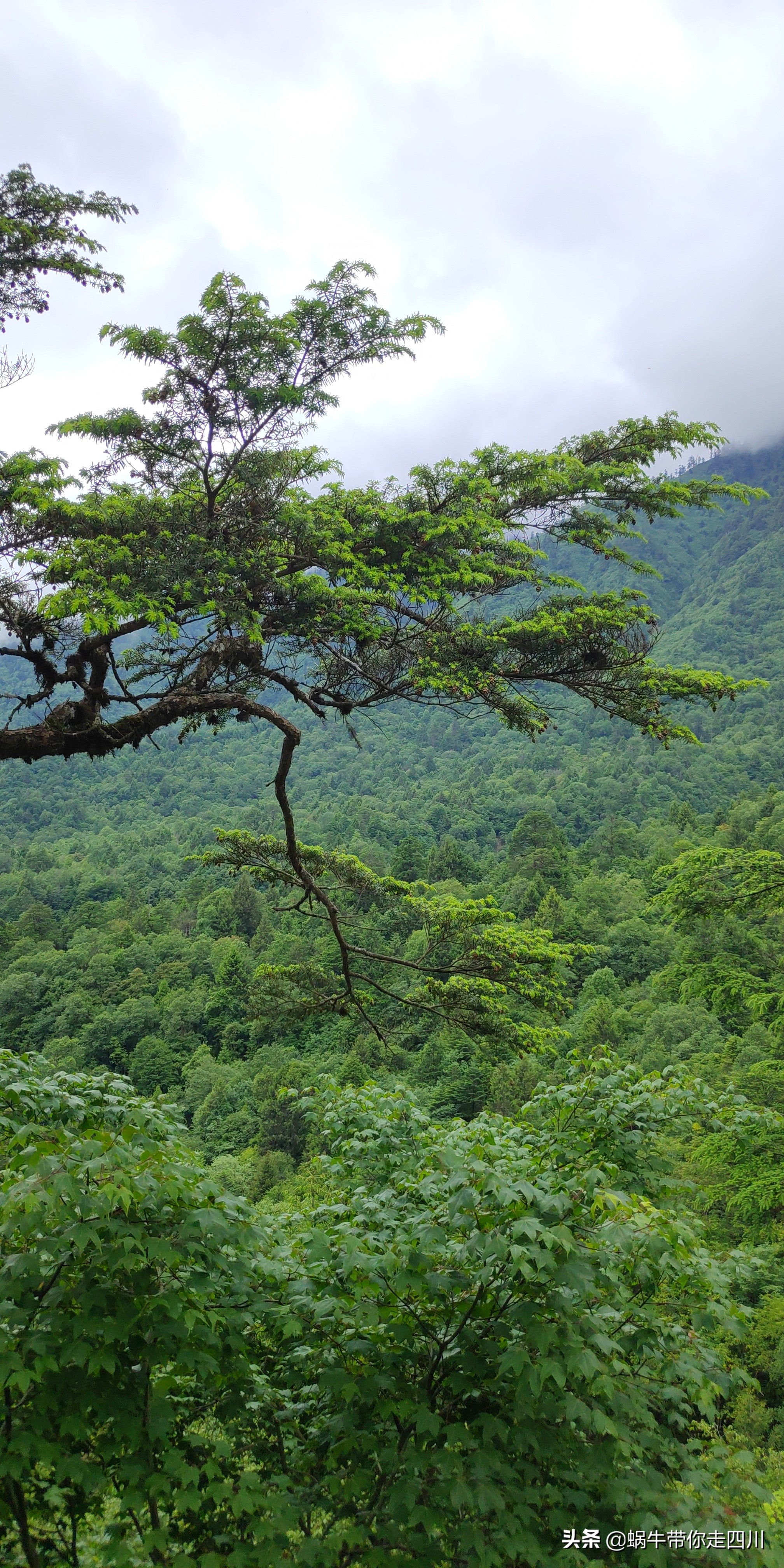 带小朋友出去看小动物,带小孩去海洋动物园