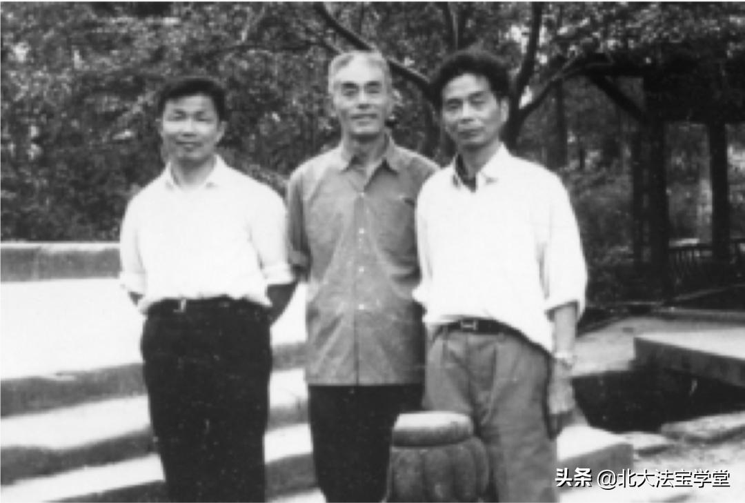 民法典的光辉,民法典慈母般的关怀