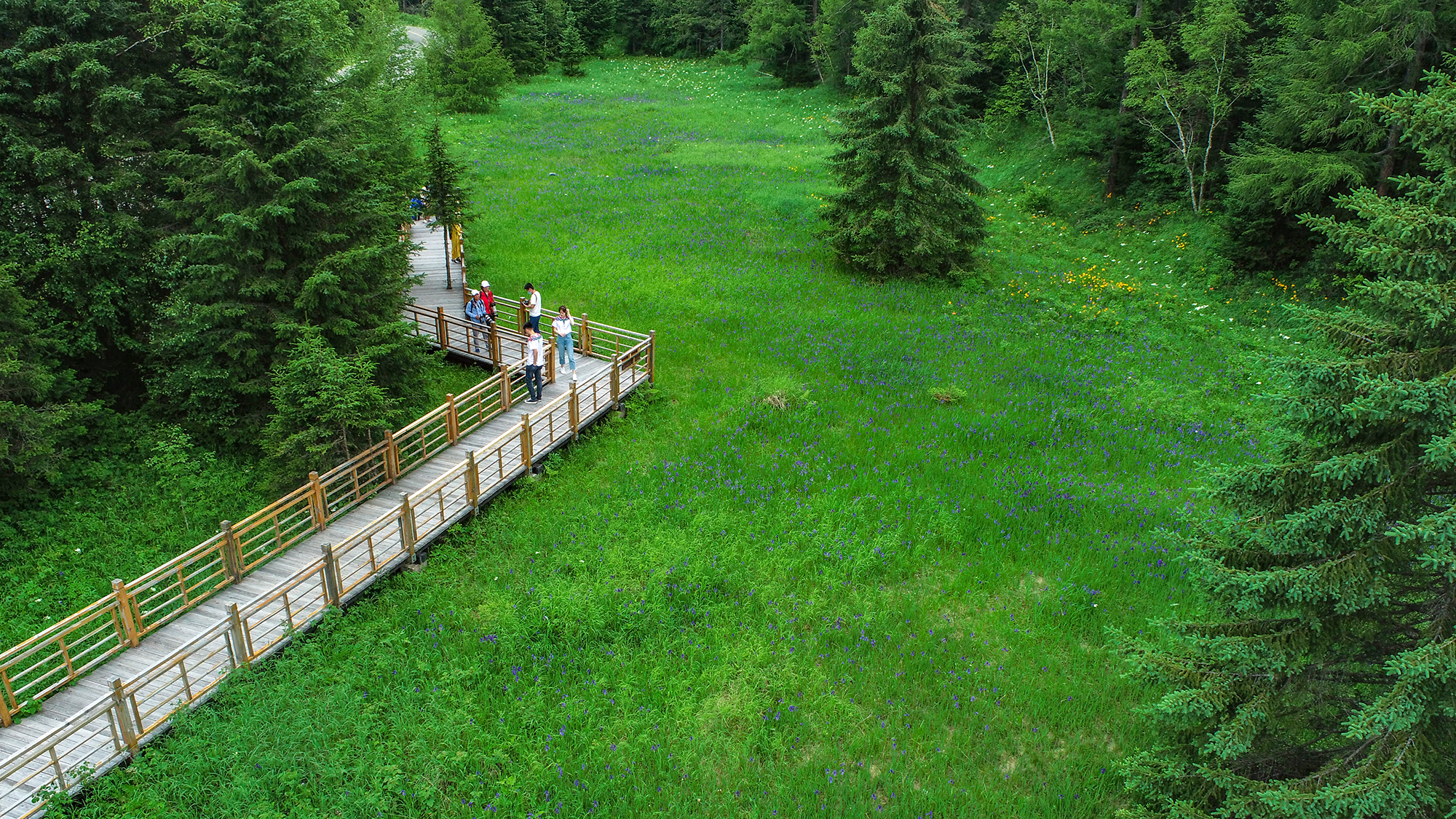 航拍长白山天池视频,长白山天池航拍全景视频