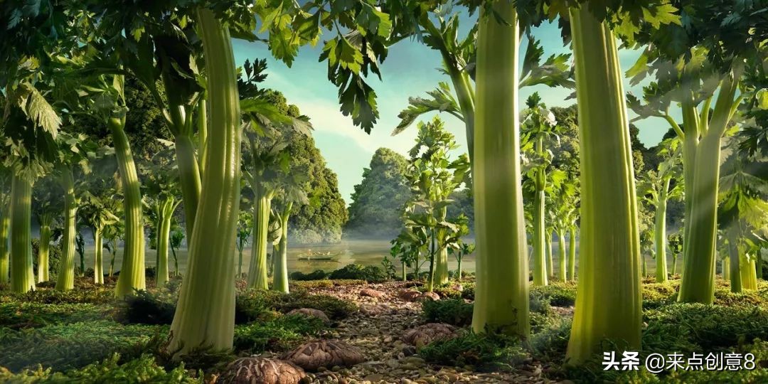 国外脑洞大开的创意海报,国外创意海报赏析