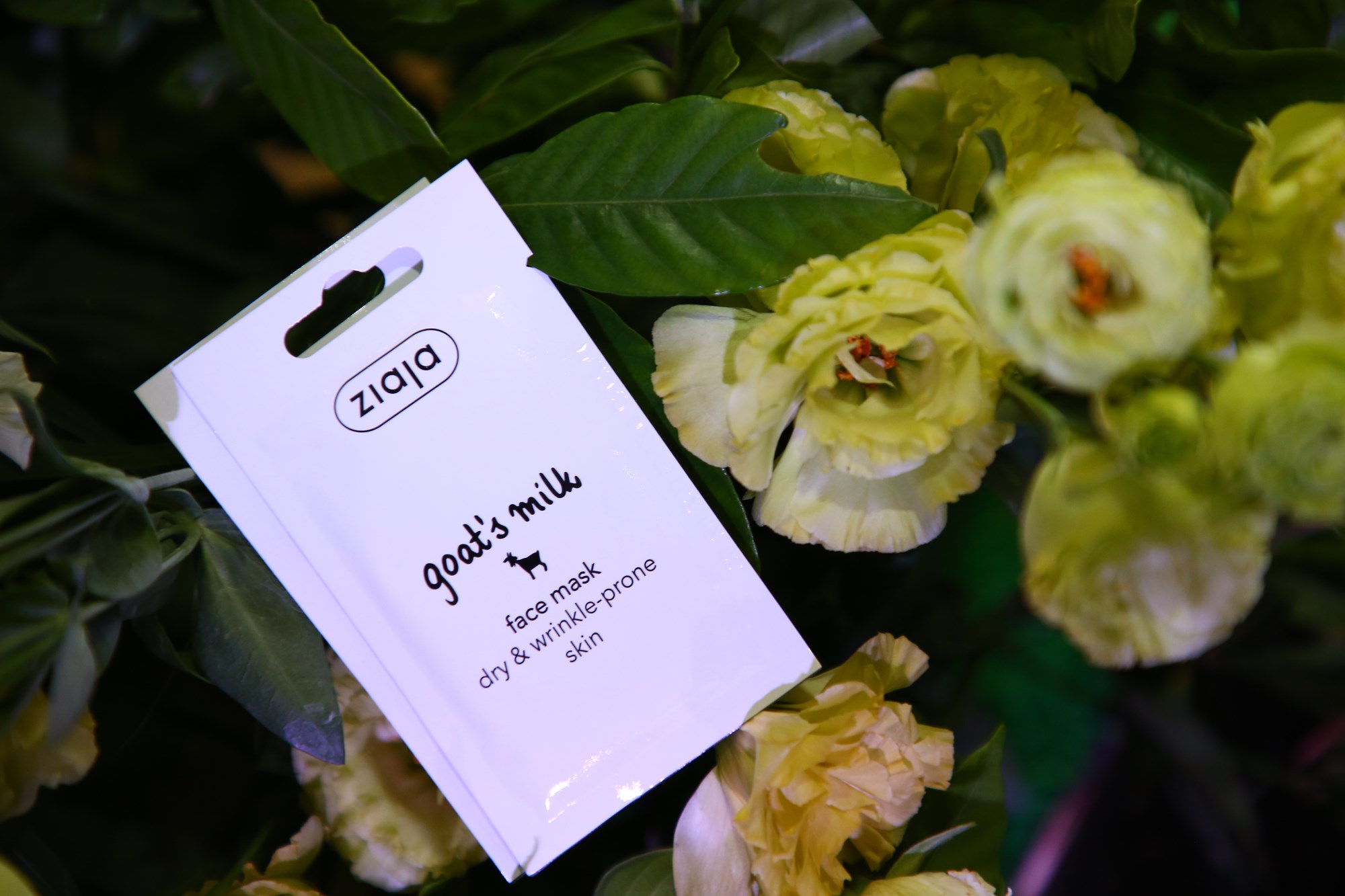 齐叶雅山羊奶面膜推荐,ziaja齐叶雅山羊奶面膜20片