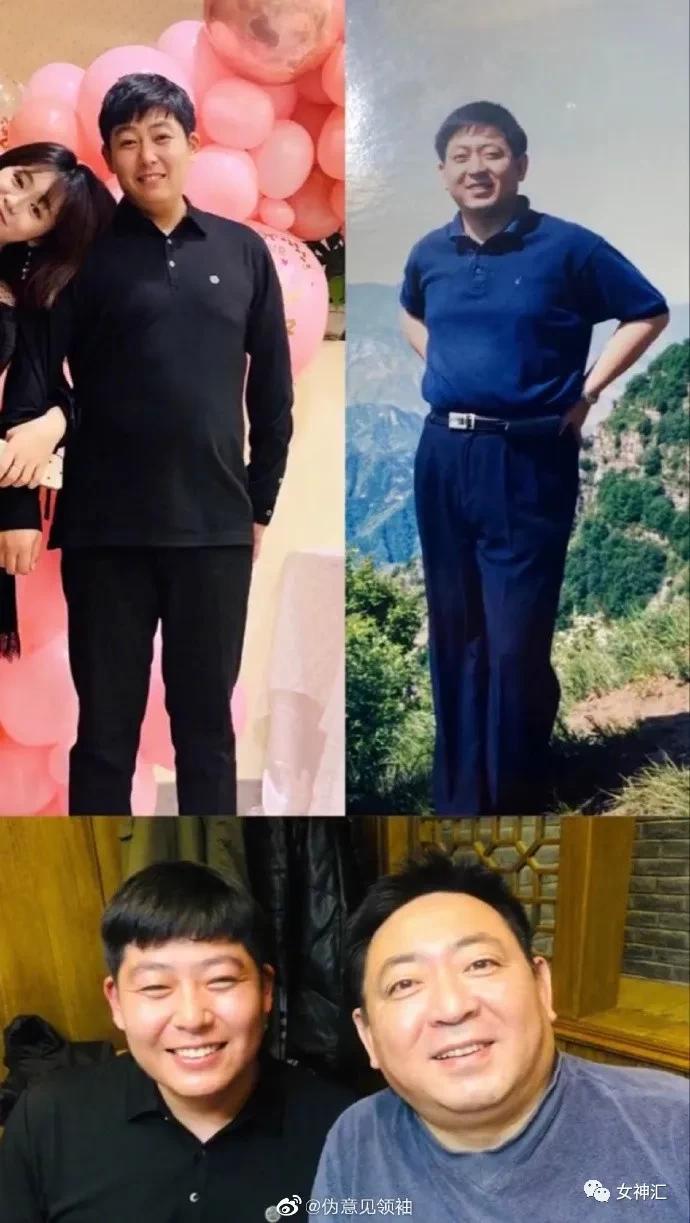 猫咪带回家后不解手,学会哪招才能让不听话的猫咪听话