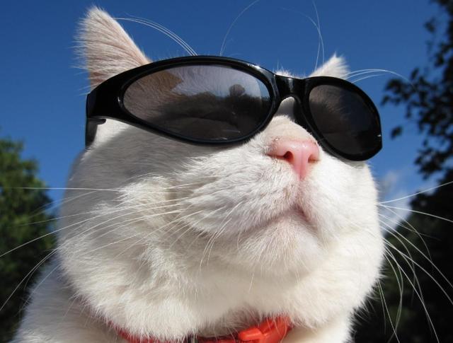 跟同事相处不要太软弱，教你3种人际关系掌控术，摆脱小人控制！