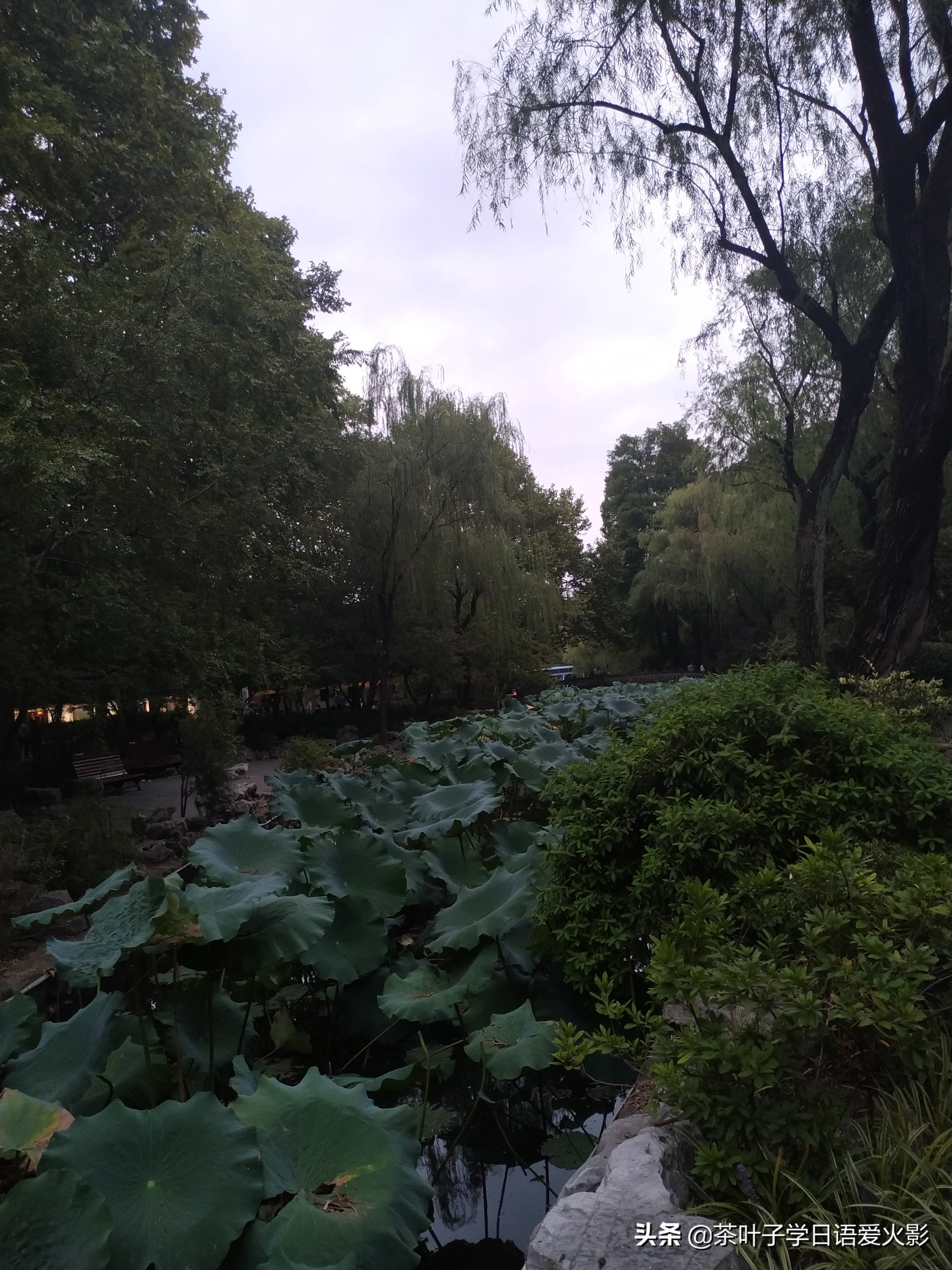 上海甜爱路，打卡不要错过哦，还有鲁迅公园