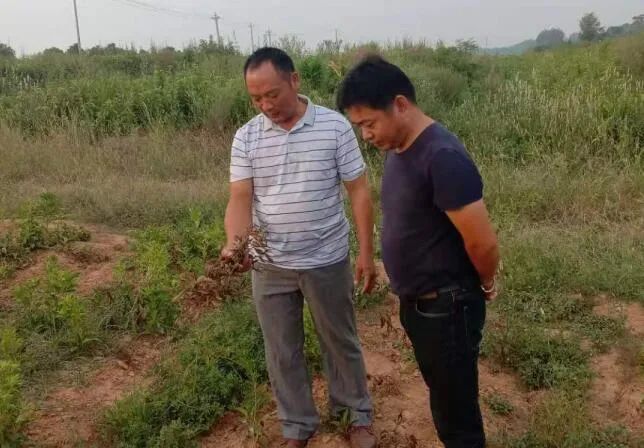 湖北鄂州碧石好人好事,鄂州梁子湖名人