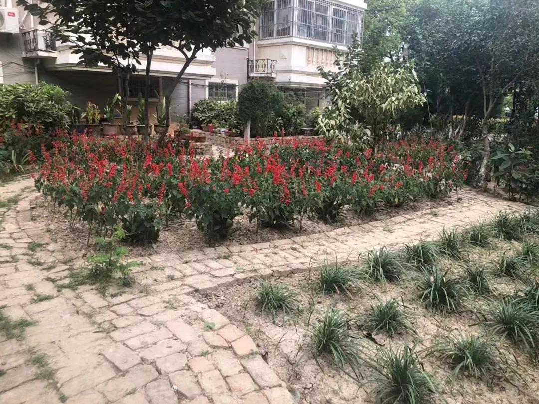 盐城什么房子不能买,现在盐城房子还能不能买