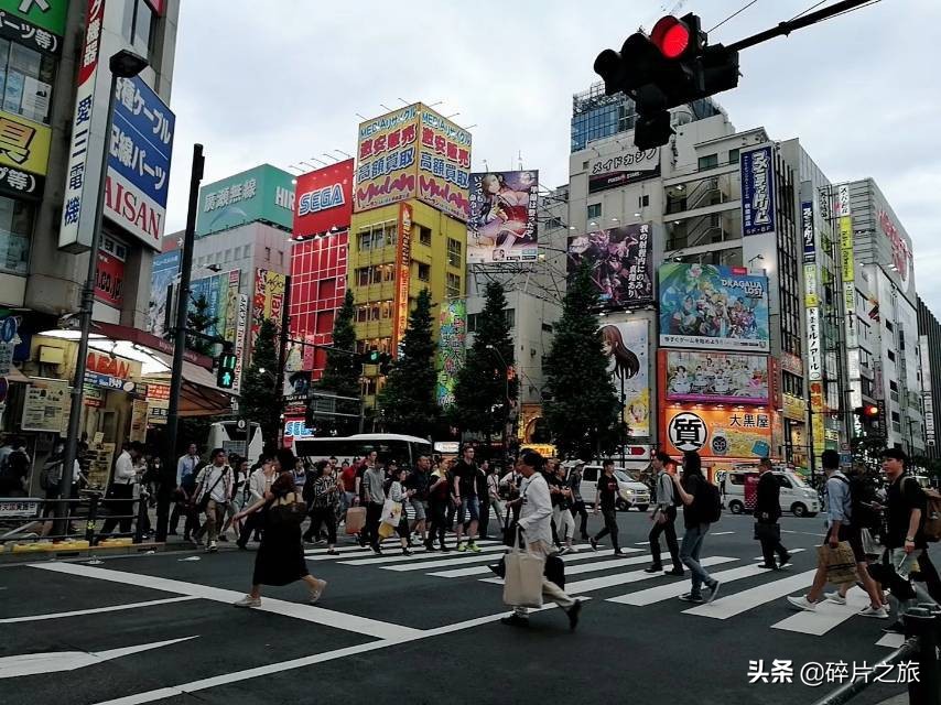 上海游轮去日本攻略,上海去日本的邮轮旅游攻略
