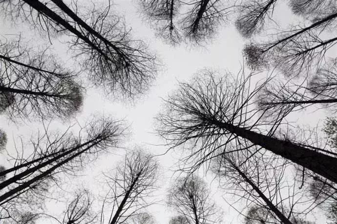 跟谁学网校有什么区别,网校新模式