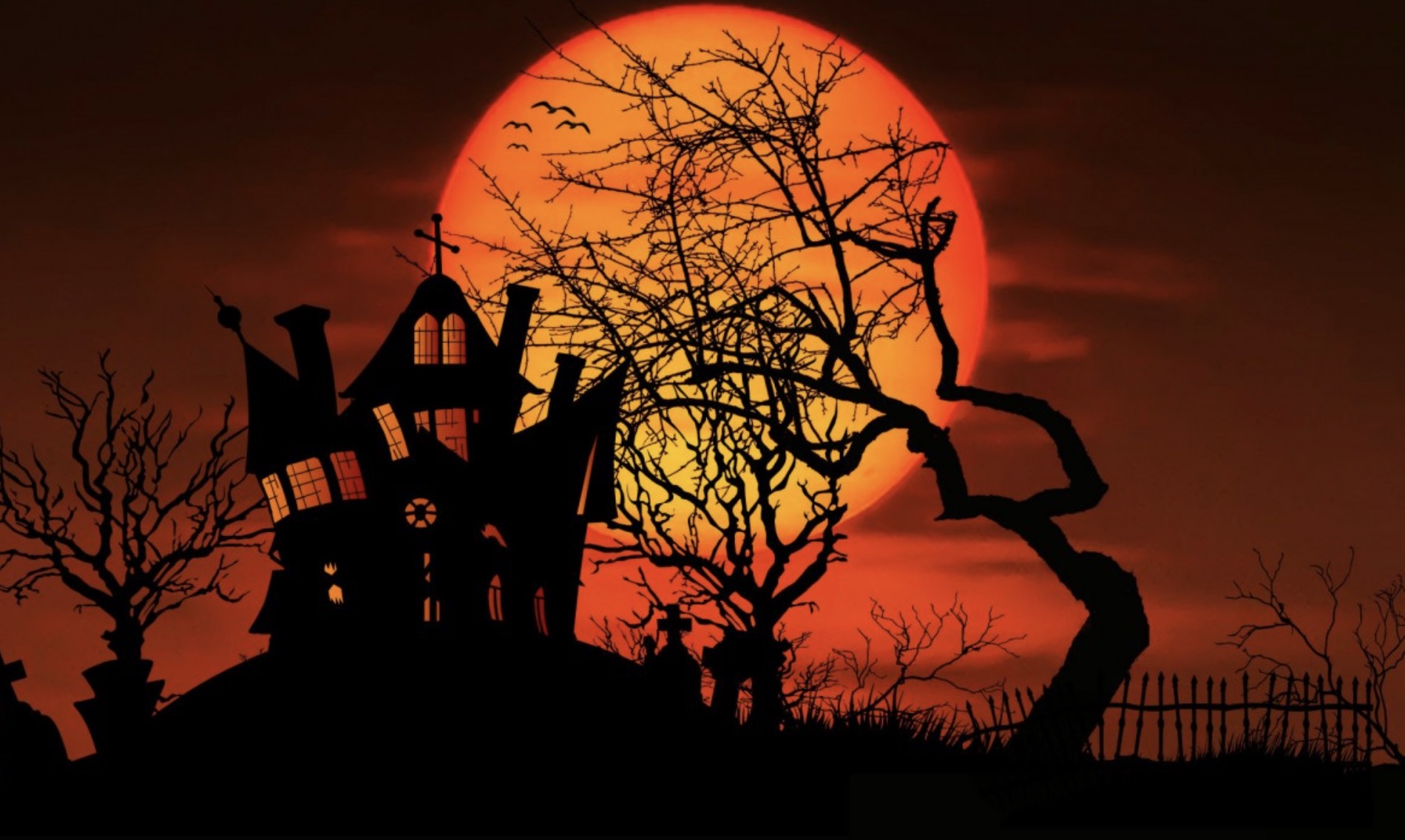 尾鱼新文《枭起青壤》完结啦!双强人设,悬疑高能剧情