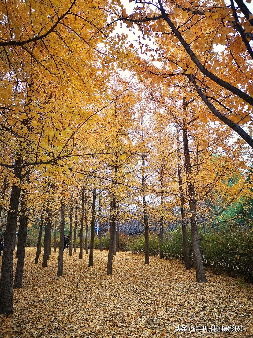 手机修图局部换色软件,手机修图改色