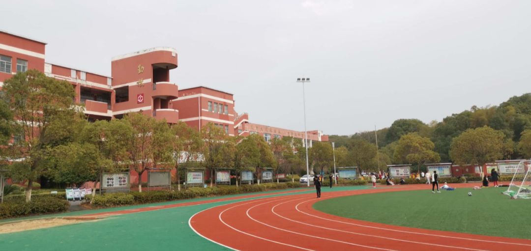 帝泊湾值不值得买,帝泊湾最低价