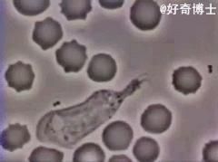 笑死人不偿命搞笑动图,p图搞笑视频笑得肚子疼