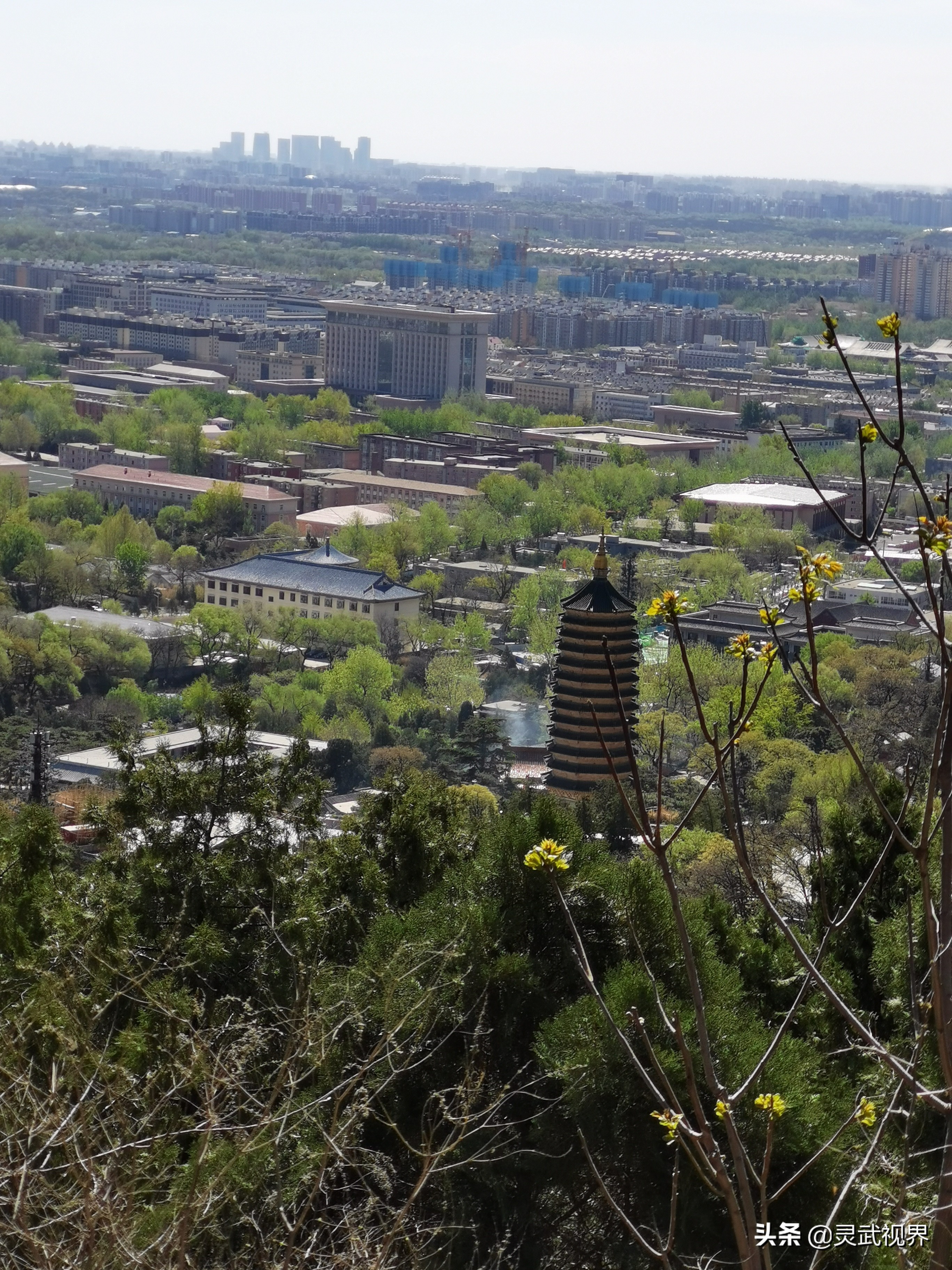 带你看看不一样的装饰,带你看看不一样的家