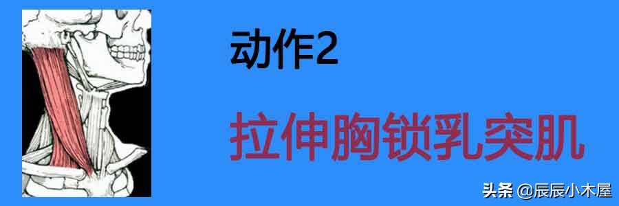 肩颈疼痛拉伸动作教学视频,拉伸提高气质缓解肩颈不适健身操