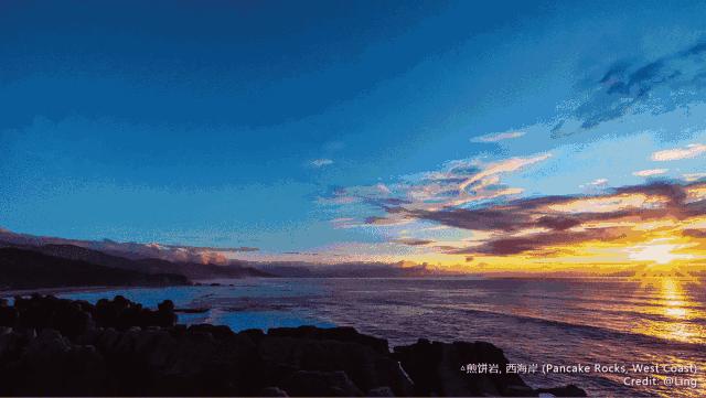 引入活青口贝、鲜帝王鲑,新西兰海产出口商的新生力量!