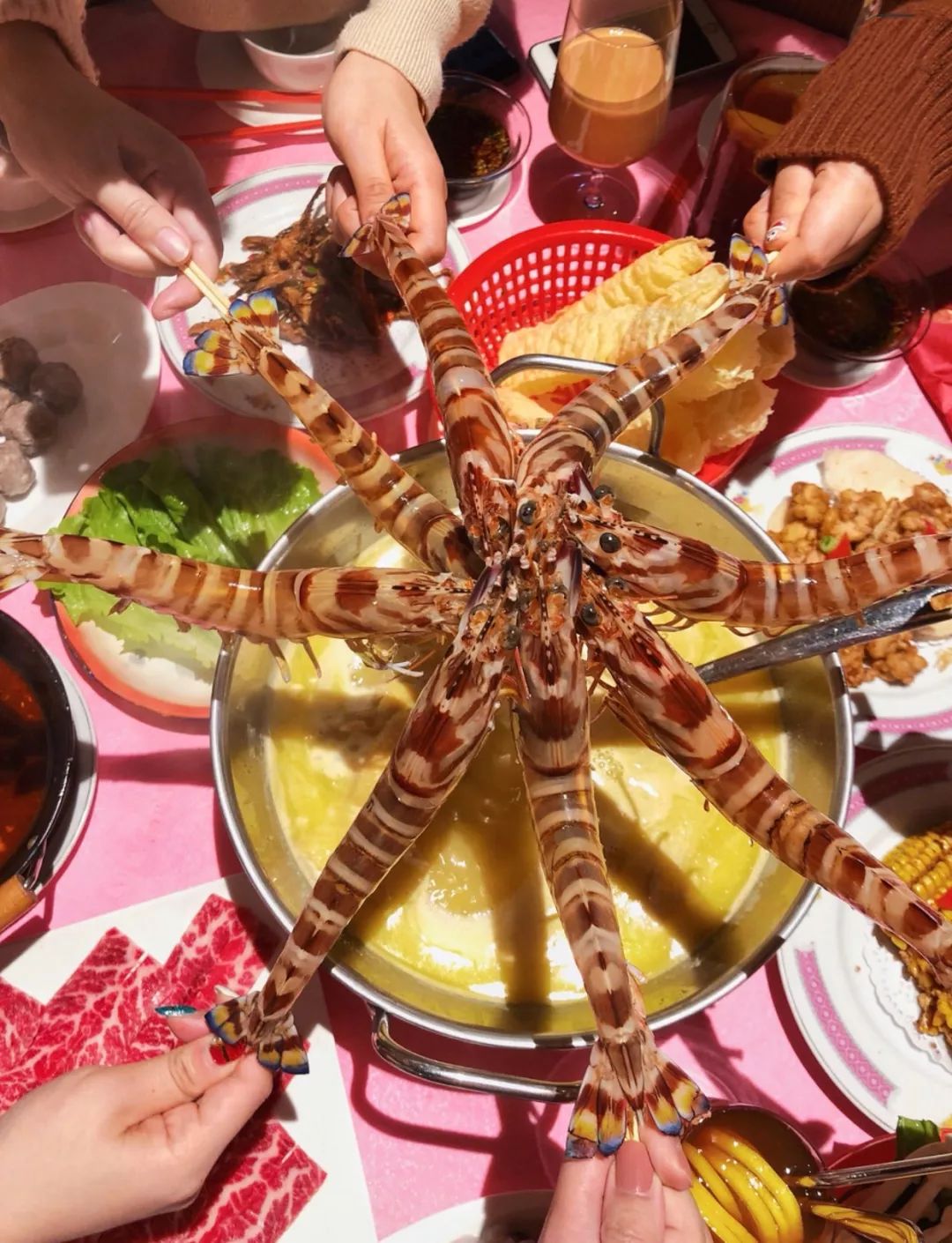 上海最贵火锅有哪几家,上海好吃火锅店排名第一