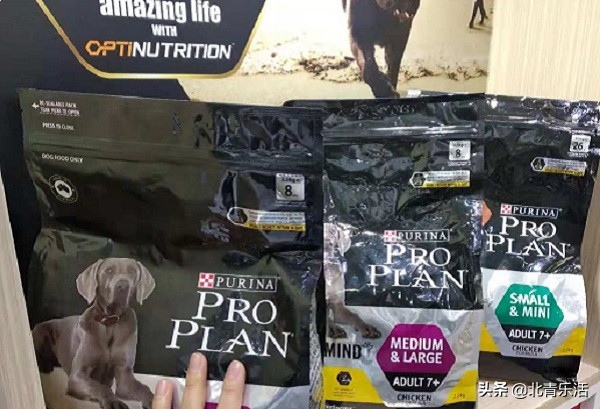 雀巢大秀狗粮“黑科技”，首款预防犬类老年痴呆产品进入中国