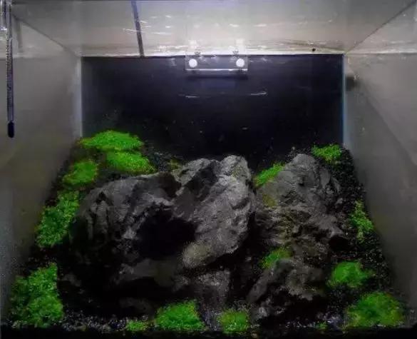 如何打造景观小缸,院子简易水景流水缸制作方法图片