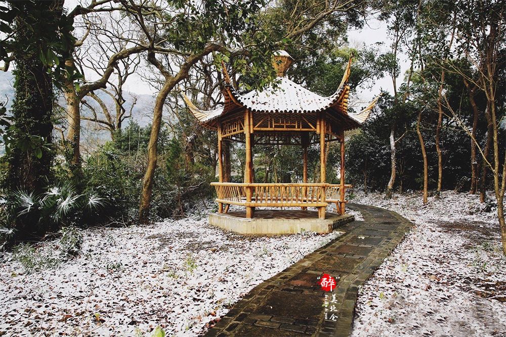 家在北仑,我有一个家北仑