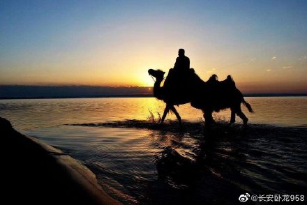 榆林沙漠淡水湖,陕西神木盐碱湖