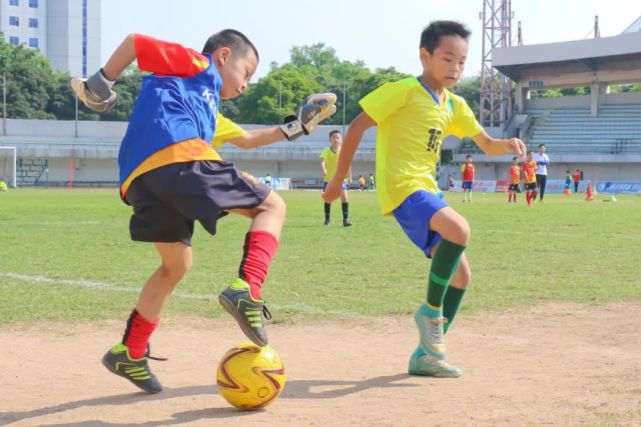 中国的足球青训vs校园足球,足球青训和校园足球