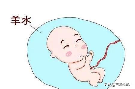 胎儿最怕羊水吗,胎儿最怕妈妈哪种表现