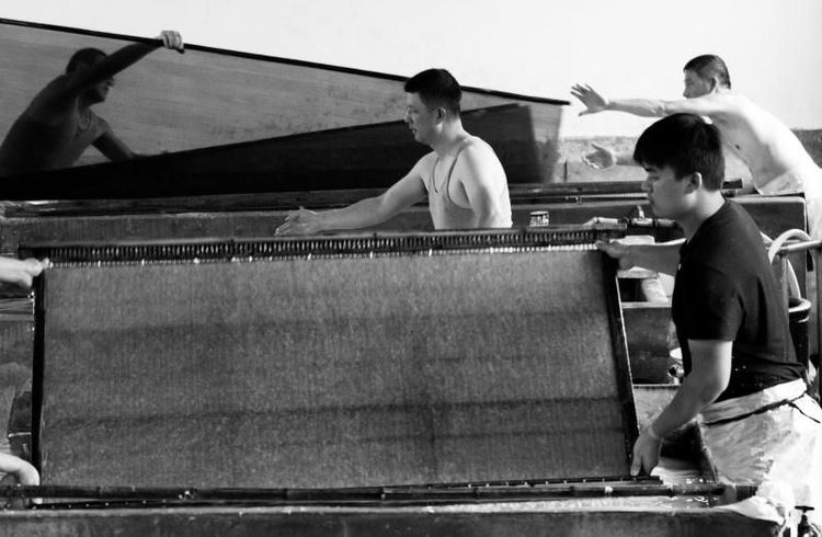 徽州百工喜迎8月向日葵摄影采风，歙县人民欢迎您