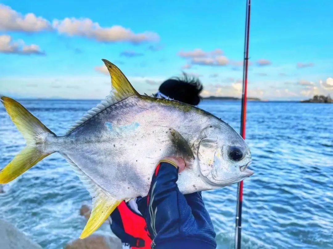 全国高校食堂美食排名,高校美食大赏隔壁都馋哭了